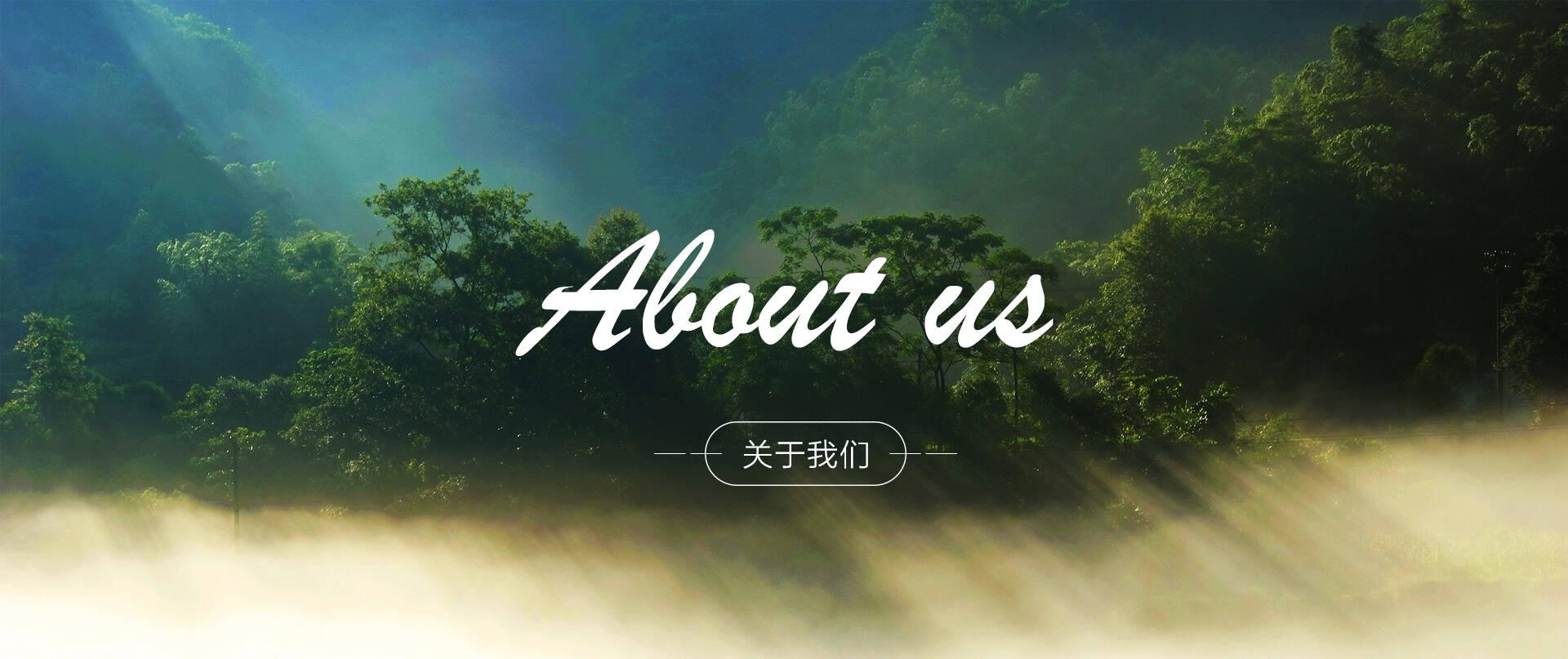图片加载失败